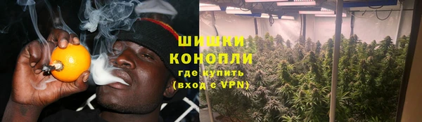 бошки Бородино