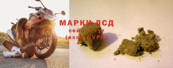 бошки Бородино