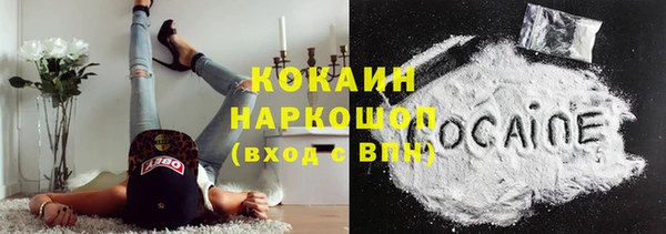 бошки Бородино